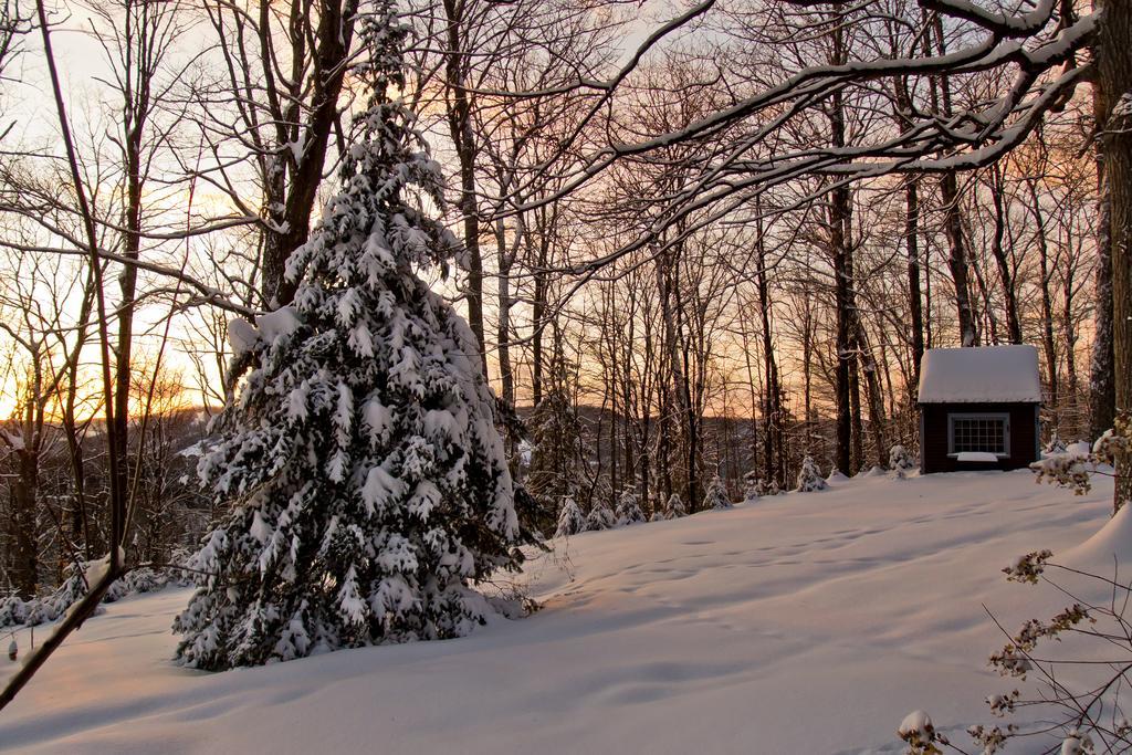 Le Petit Clocher Gite Touristique B & B Saint-Sauveur-des-Monts Eksteriør bilde