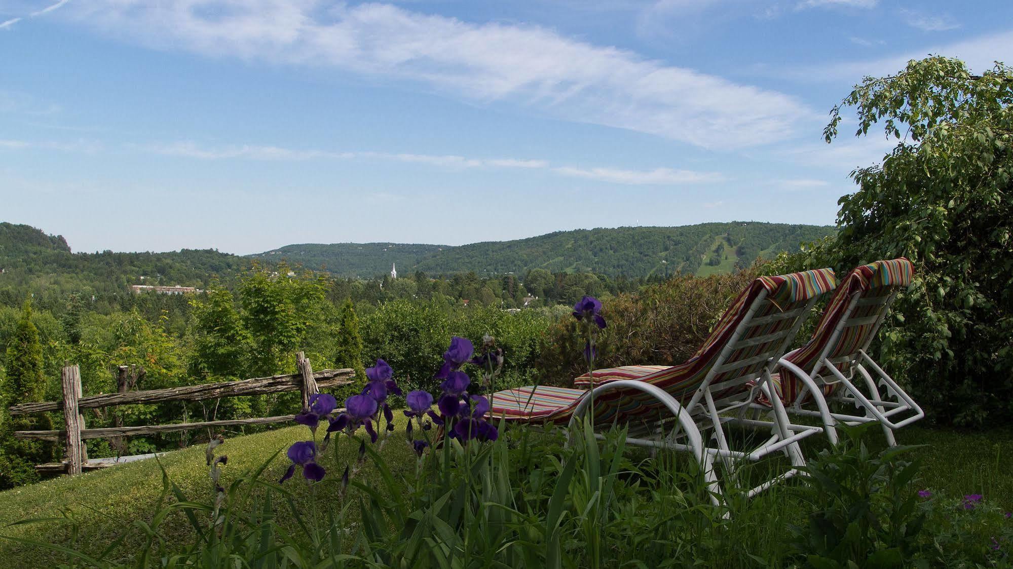 Le Petit Clocher Gite Touristique B & B Saint-Sauveur-des-Monts Eksteriør bilde